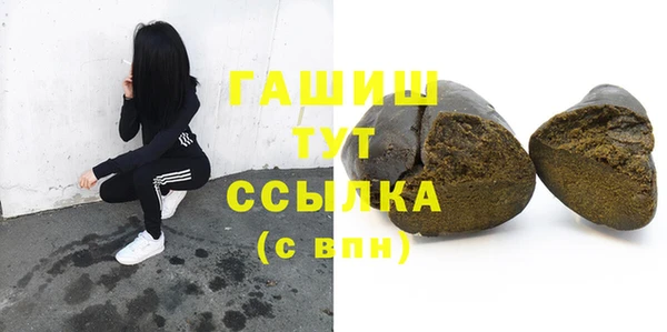 индика Абаза
