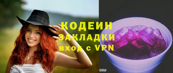 индика Абаза