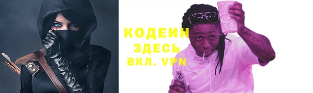 индика Абаза