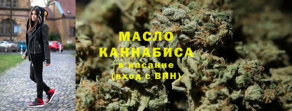 индика Абаза
