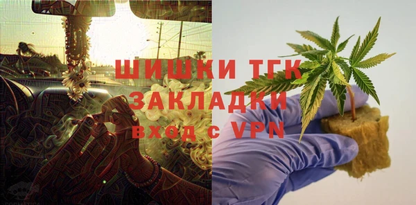 индика Абаза