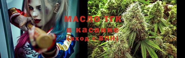 индика Абаза