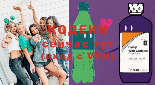 индика Абаза