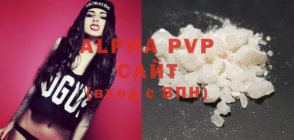 индика Абаза